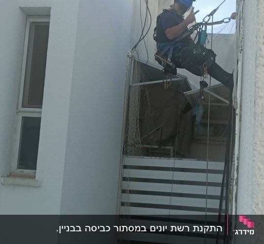 אדם עם קסדה בציוד סנפלינג מסיר רשת יונים